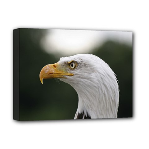 Bald Eagle (1) Deluxe Canvas 16  X 12  (framed)  by smokeart