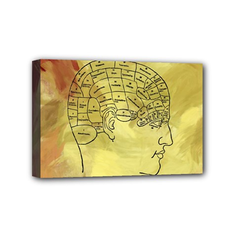 Brain Map Mini Canvas 6  X 4  (framed) by StuffOrSomething