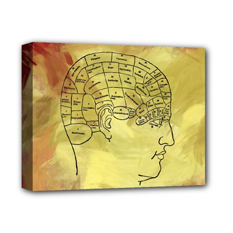 Brain Map Deluxe Canvas 14  X 11  (framed) by StuffOrSomething