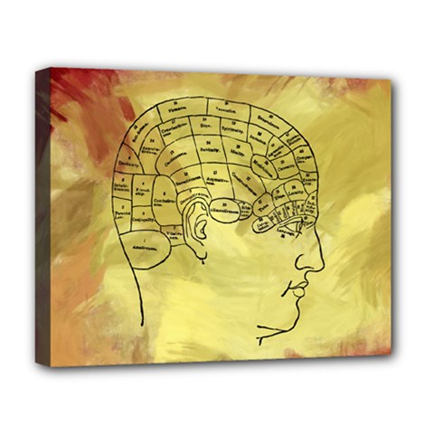 Brain Map Deluxe Canvas 20  X 16  (framed) by StuffOrSomething