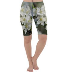 Spring Flowers Cropped Leggings  by anstey