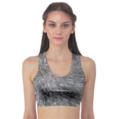 Grey Wolf Fur Sports Bra by trendistuff