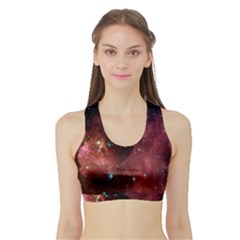 Barnard 30 Women s Sports Bra With Border by trendistuff