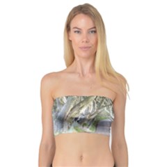 Dark Hedges, Ireland Women s Bandeau Tops by trendistuff