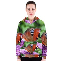 Peacock Butterfly Women s Zipper Hoodies by trendistuff