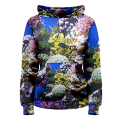 Coral Outcrop 1 Women s Pullover Hoodies by trendistuff