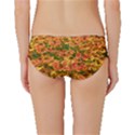 Helenium Flowers and Bees Classic Bikini Bottoms View2