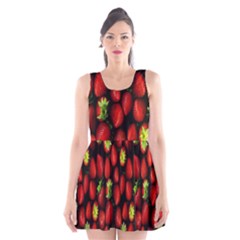 Berry Strawberry Many Scoop Neck Skater Dress by Simbadda