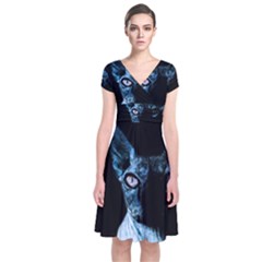 Blue Sphynx Cat Short Sleeve Front Wrap Dress by Valentinaart