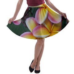 Premier Mix Flower A-line Skater Skirt by alohaA