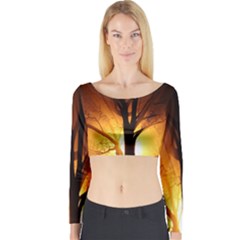 Rays Of Light Tree In Fog At Night Long Sleeve Crop Top by Amaryn4rt