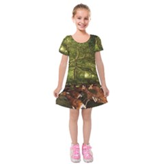 Red Deer Deer Roe Deer Antler Kids  Short Sleeve Velvet Dress by Nexatart