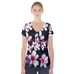 Morning Sunrise 2 Short Sleeve Front Detail Top by dawnsiegler