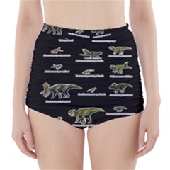 Dinosaurs Names High-waisted Bikini Bottoms by Valentinaart