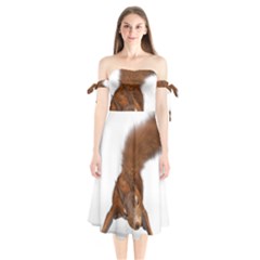 Squirrel Wild Animal Animal World Shoulder Tie Bardot Midi Dress by Nexatart