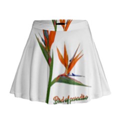 Bird Of Paradise Mini Flare Skirt by Valentinaart