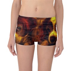 Cute 3d Dog Reversible Boyleg Bikini Bottoms by BangZart