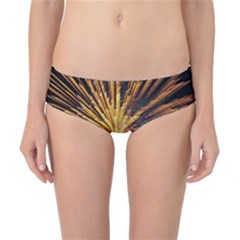 Pyrotechnics Thirty Eight Classic Bikini Bottoms by Nexatart