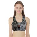 Cat Face Eyes Gray Fluffy Cute Animals Sports Bra with Border View1