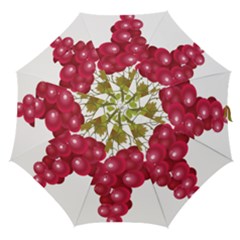 Red Fruit Grape Straight Umbrellas