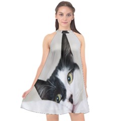 Cat Face Cute Black White Animals Halter Neckline Chiffon Dress  by Mariart