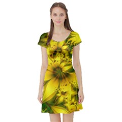 Beautiful Yellow-green Meadow Of Daffodil Flowers Short Sleeve Skater Dress by jayaprime