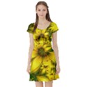 Beautiful Yellow-Green Meadow of Daffodil Flowers Short Sleeve Skater Dress View1