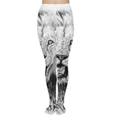 Lion Wildlife Art And Illustration Pencil Women s Tights by Celenk