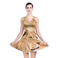 Big Male Lion Looking Right Reversible Skater Dress by Ucco