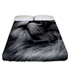 Feline Lion Tawny African Zoo Fitted Sheet (queen Size) by BangZart