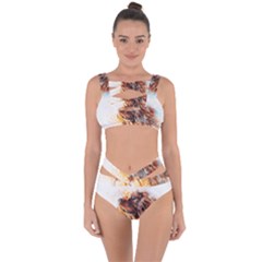 Dog Animal Pet Art Abstract Bandaged Up Bikini Set  by Celenk