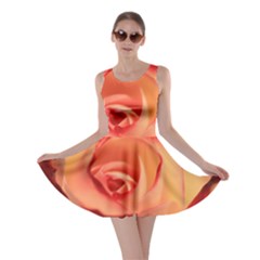 Rose Orange Rose Blossom Bloom Skater Dress by Celenk