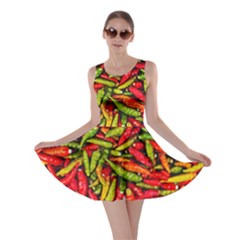 Chilli Pepper Spicy Hot Red Spice Skater Dress by Celenk