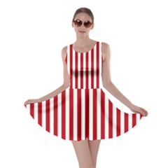 Red Stripes Skater Dress by jumpercat