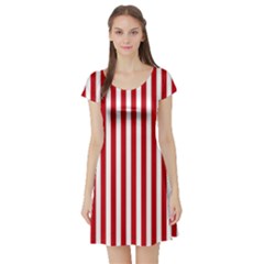 Red Stripes Short Sleeve Skater Dress by jumpercat