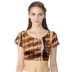 Abstract Architecture Background Short Sleeve Crop Top by Nexatart