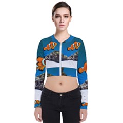 Clownfish 1 Bomber Jacket by trendistuff