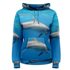 Dolphin 3 Women s Pullover Hoodie by trendistuff