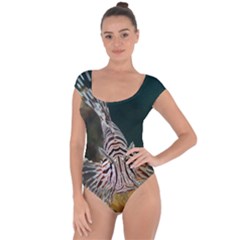 Lionfish 4 Short Sleeve Leotard  by trendistuff