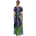 GRAPES 2 High Waist Short Sleeve Maxi Dress View2