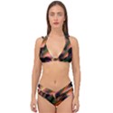 Color Burst Abstract Double Strap Halter Bikini Set View1