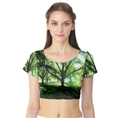 Highland Park 14 Short Sleeve Crop Top by bestdesignintheworld