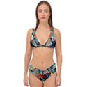 Rumba On A Chad Lake 13 Double Strap Halter Bikini Set View1