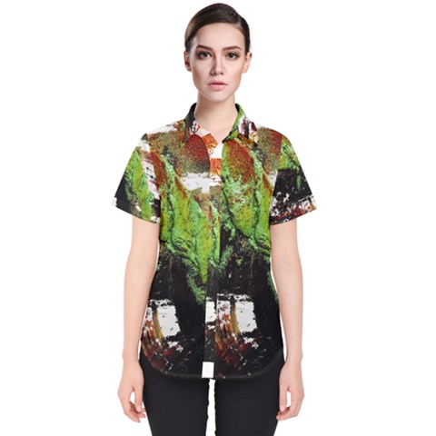 Collosium   Swards And Helmets 3 Women s Short Sleeve Shirt by bestdesignintheworld