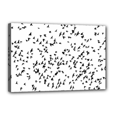 Flock Birds Animals Flying Canvas 18  X 12  by Simbadda