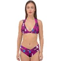 Cats Double Strap Halter Bikini Set View1