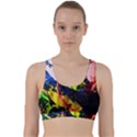 Global Warming 2 Back Weave Sports Bra View1