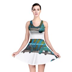 Reptile Lizard Animal Isolated Reversible Skater Dress by Sapixe