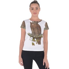 Bird Owl Animal Vintage Isolated Short Sleeve Sports Top  by Sapixe