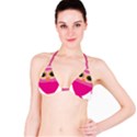 Sowa Owls Bird Wild Birds Pen Bikini Top View1